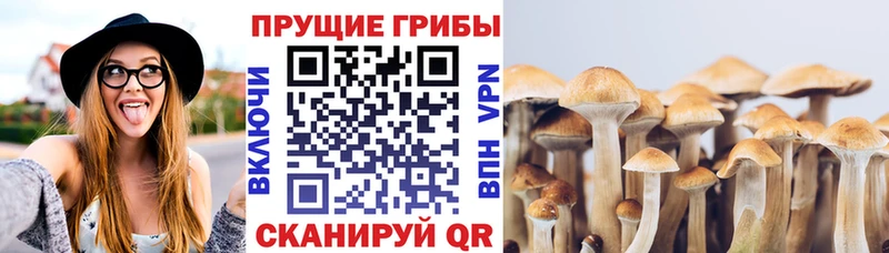 Галлюциногенные грибы MAGIC MUSHROOMS  мега сайт  Славгород 